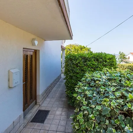 Guest house Bela